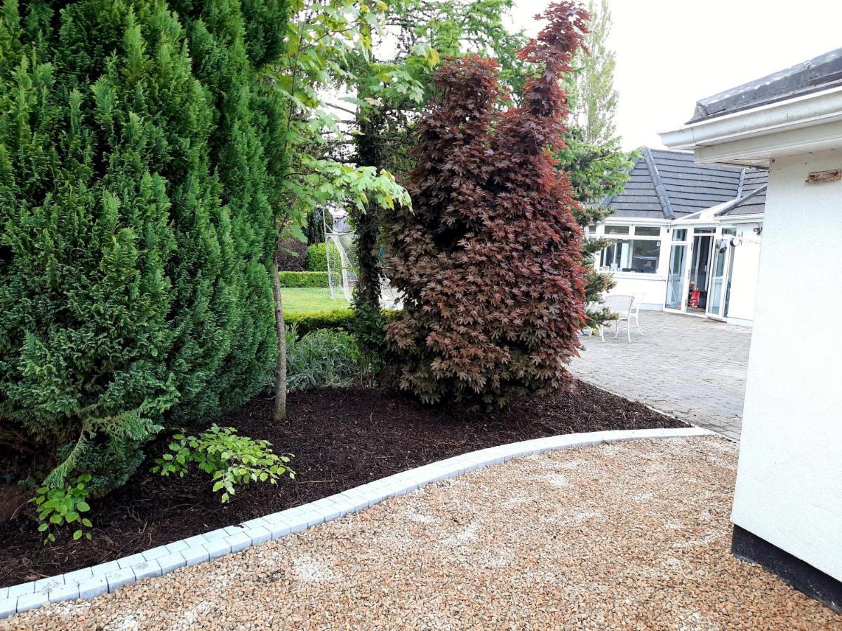 Killenard Self Catering Accommodation Exterior foto
